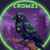 Profile picture of Crow